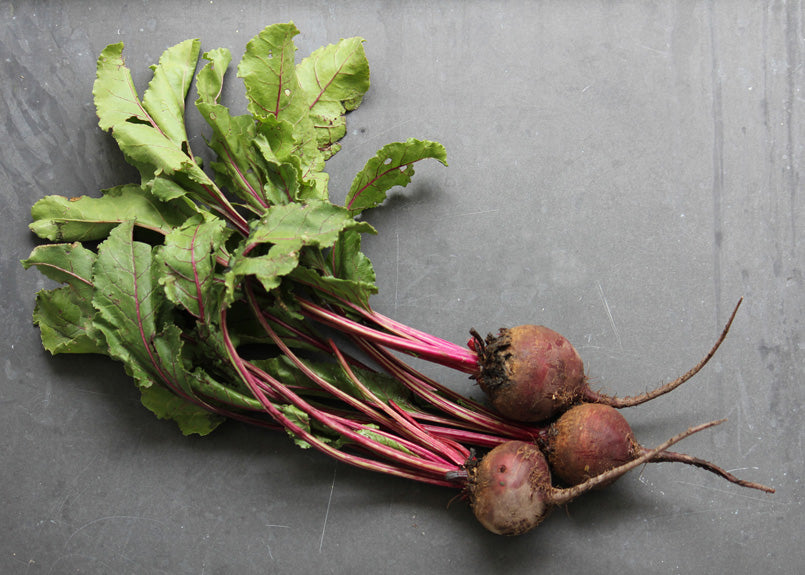 Bunched red beets