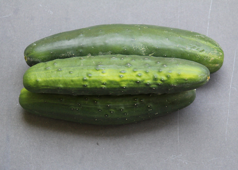 Cucumber