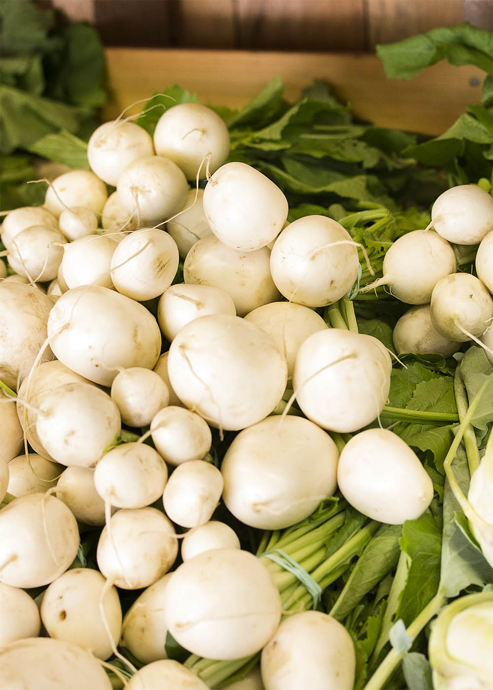 Hakurei (salad) turnips