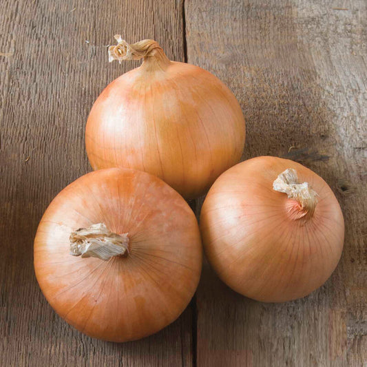 Sweet onions