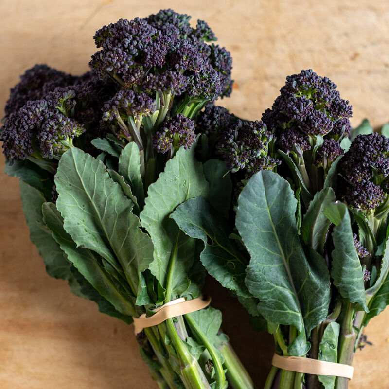 Broccolini