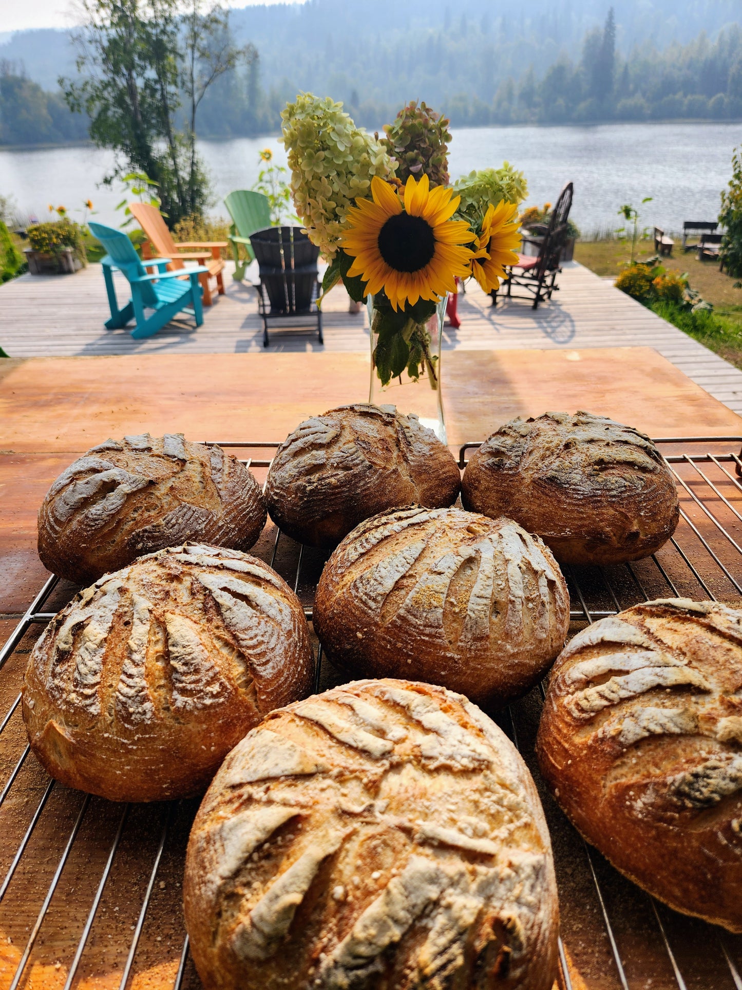 Whole Wheat Sourdough Bread - Beaver Valley