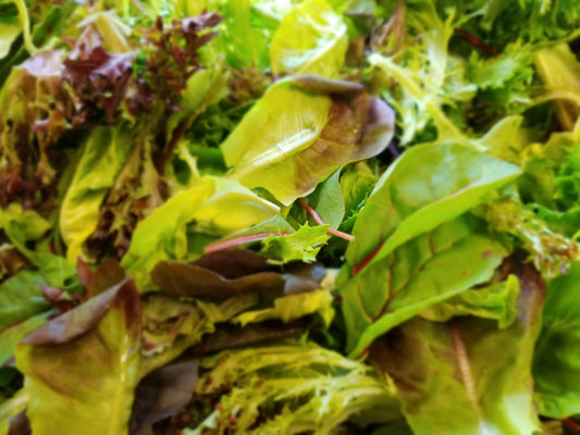 Lettuce Lover salad mix