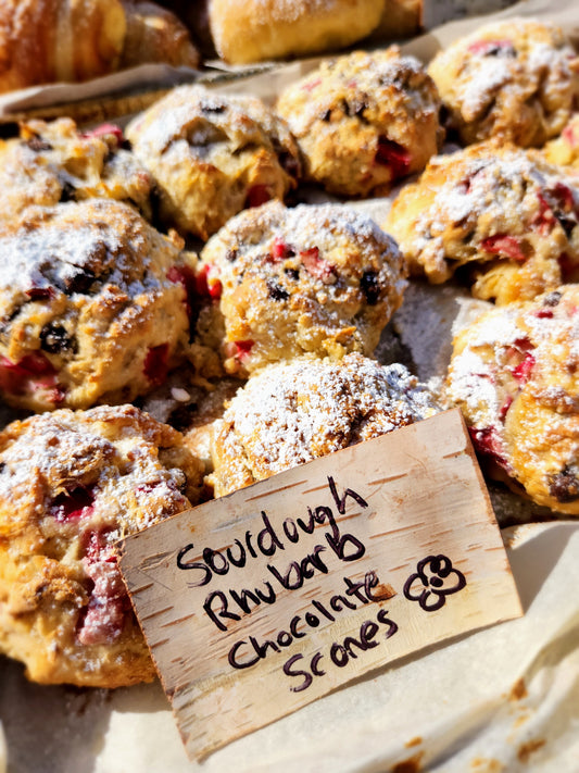 Sourdough Rhubarb Chocolate scones - Beaver Valley