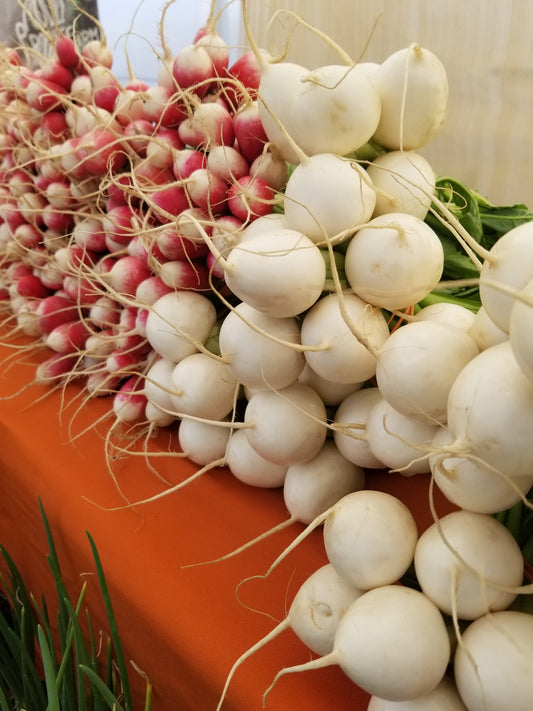Hakurei (salad) turnips