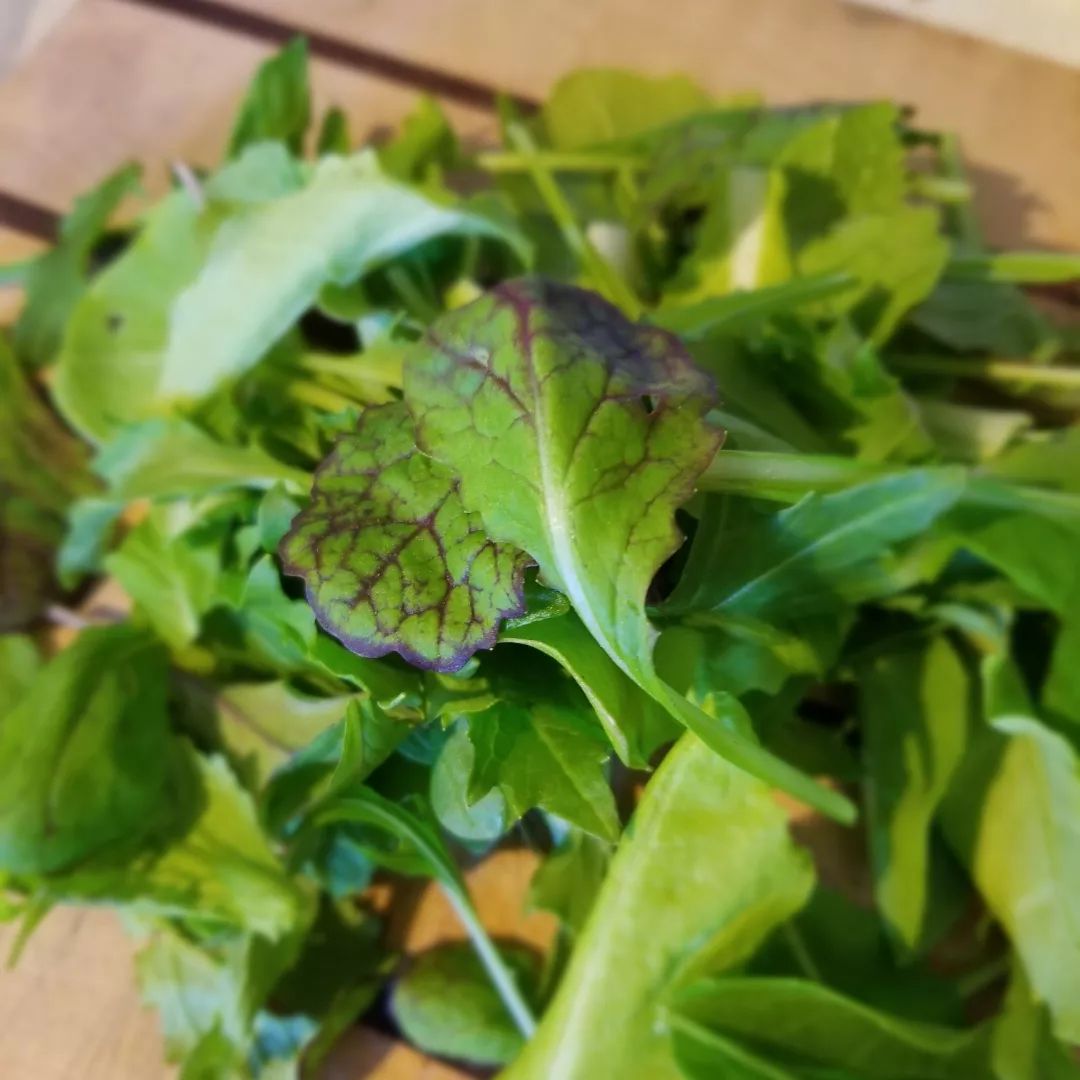 Health Kick mix