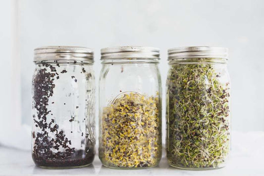 Sprout kit REFILL