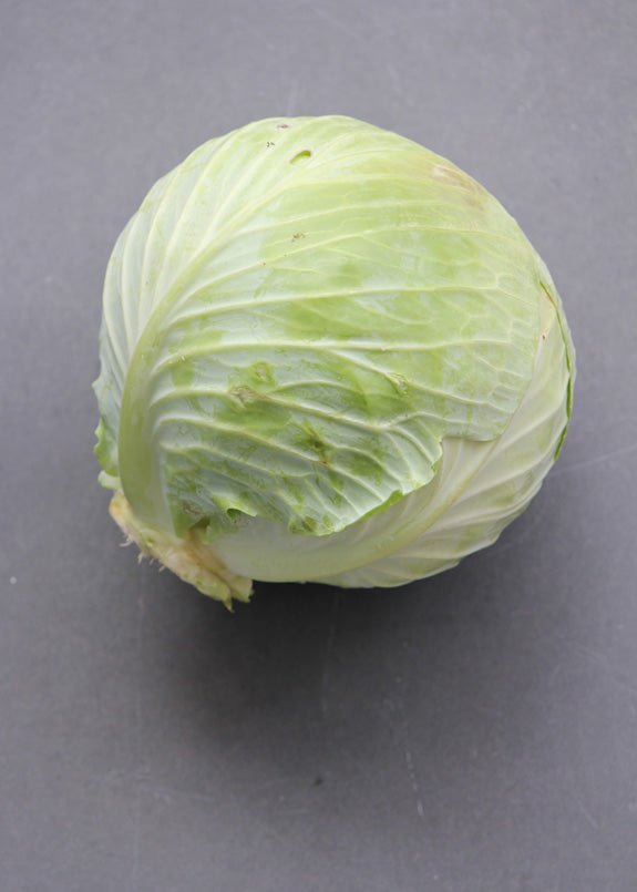 Cabbage - GREEN