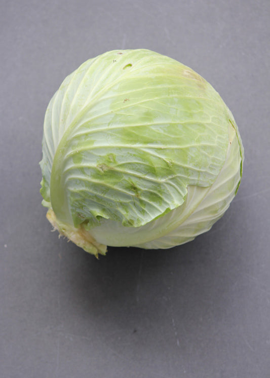 Cabbage - GREEN