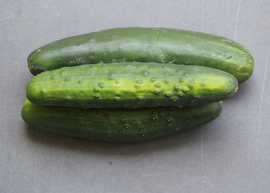 Cucumber