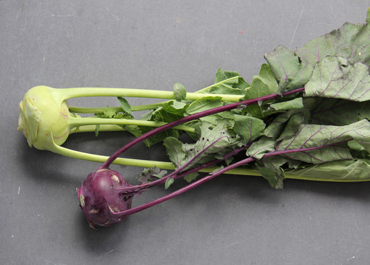 Kohlrabi