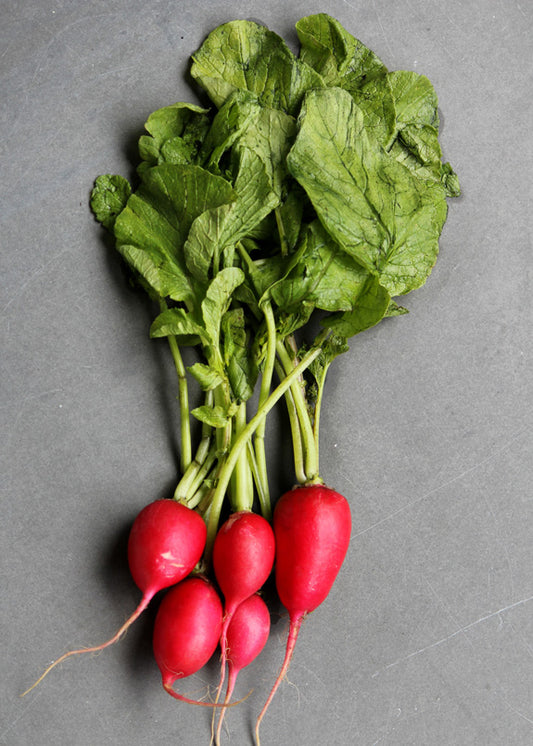 Radishes