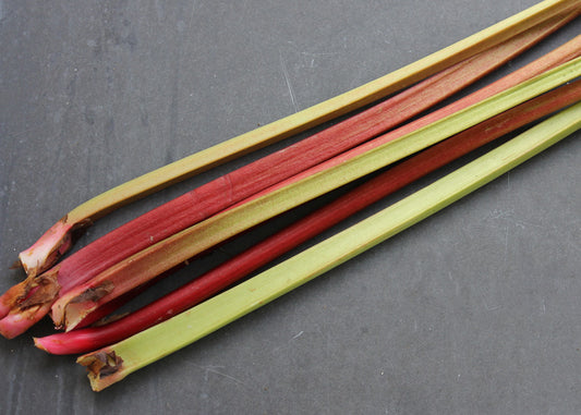 Rhubarb