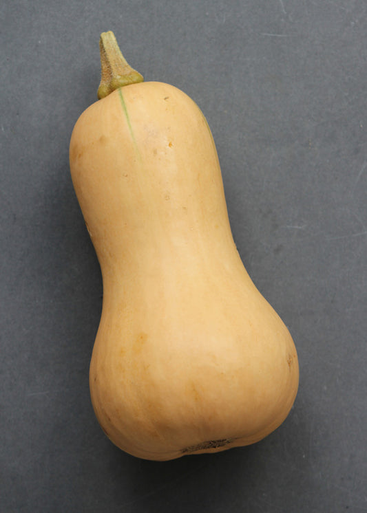 Butternut squash