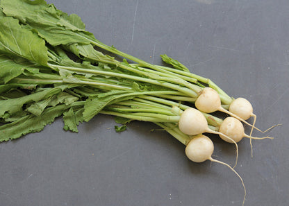 Hakurei (salad) turnips