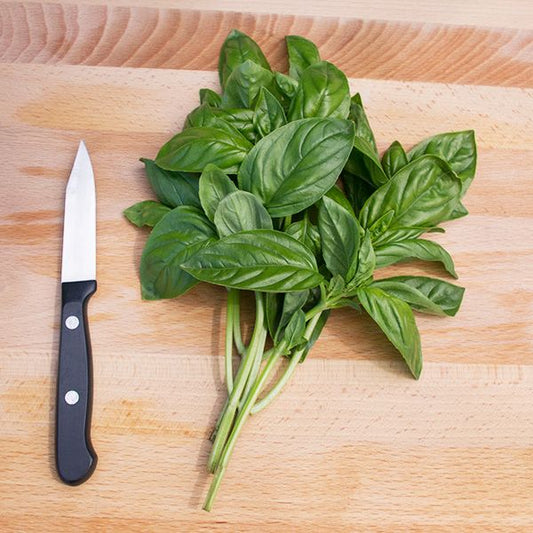 Basil 25g