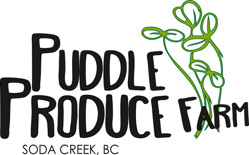 Puddle Produce Farm