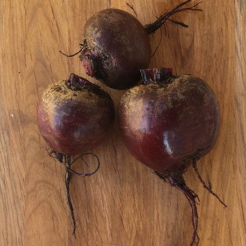 Beets BULK