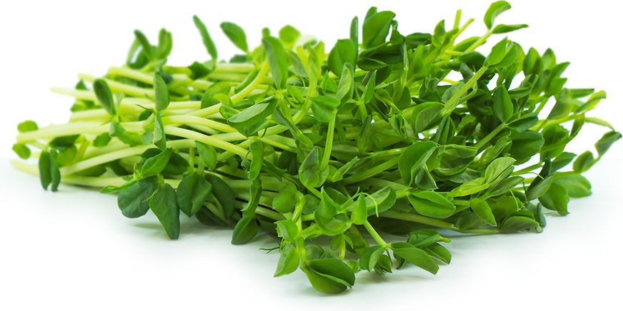 Pea shoots