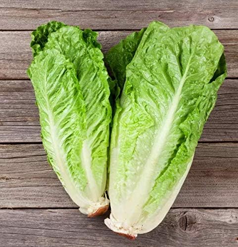 Romaine hearts