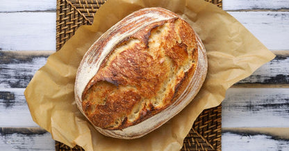 Sourdough starter