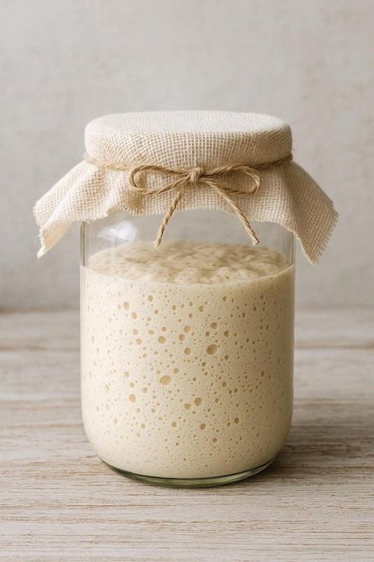 Sourdough starter