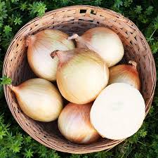 Sweet onions